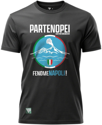 neapolitan pride vintage naples soccer t-shirt football culture design