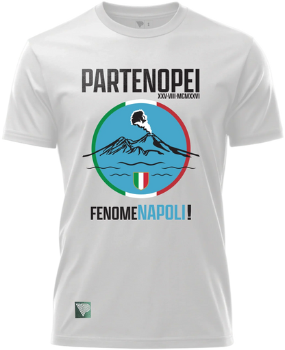 neapolitan pride vintage naples soccer t-shirt football culture design